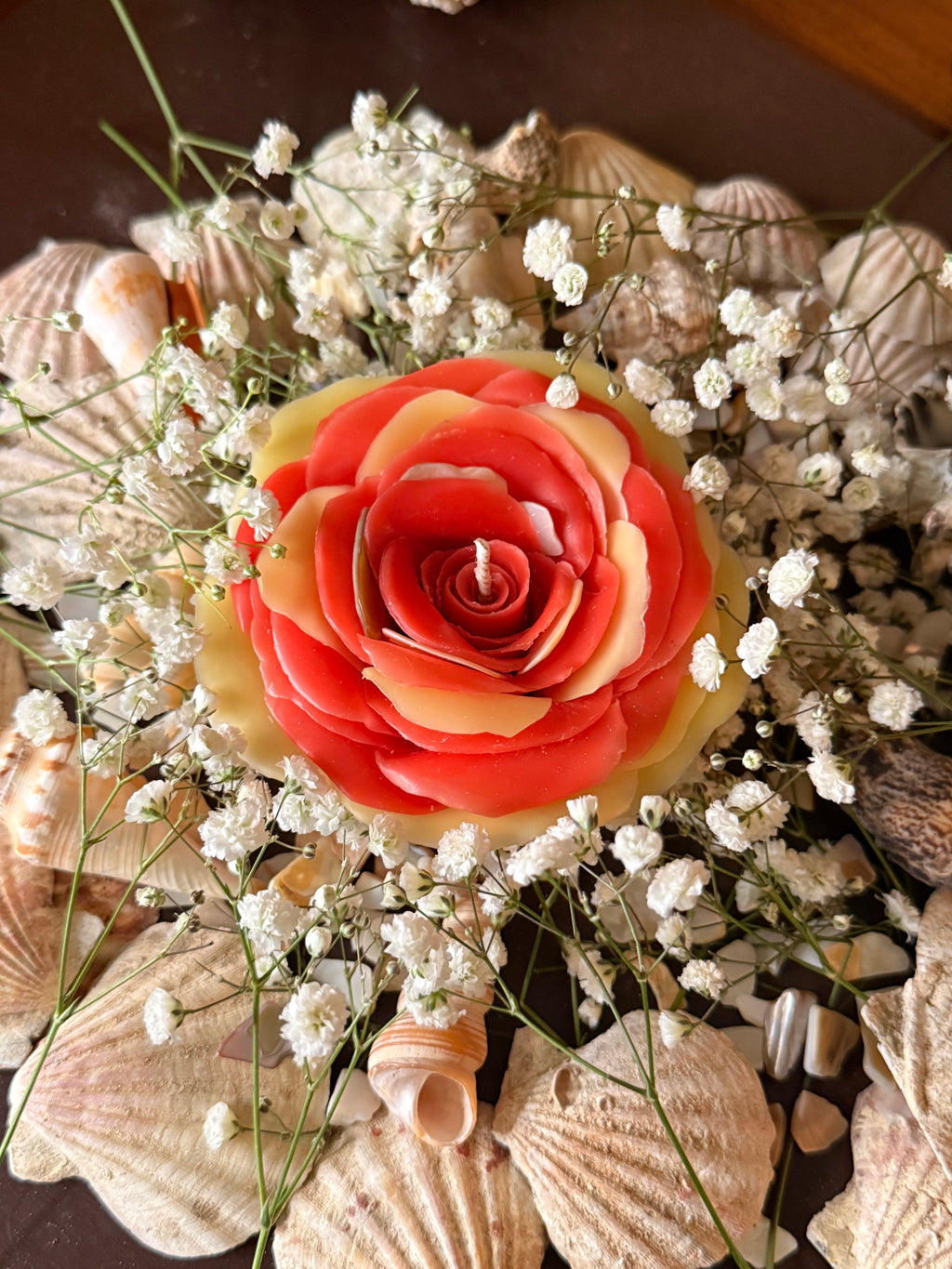 Aphrodite Rose 1 Month Wait