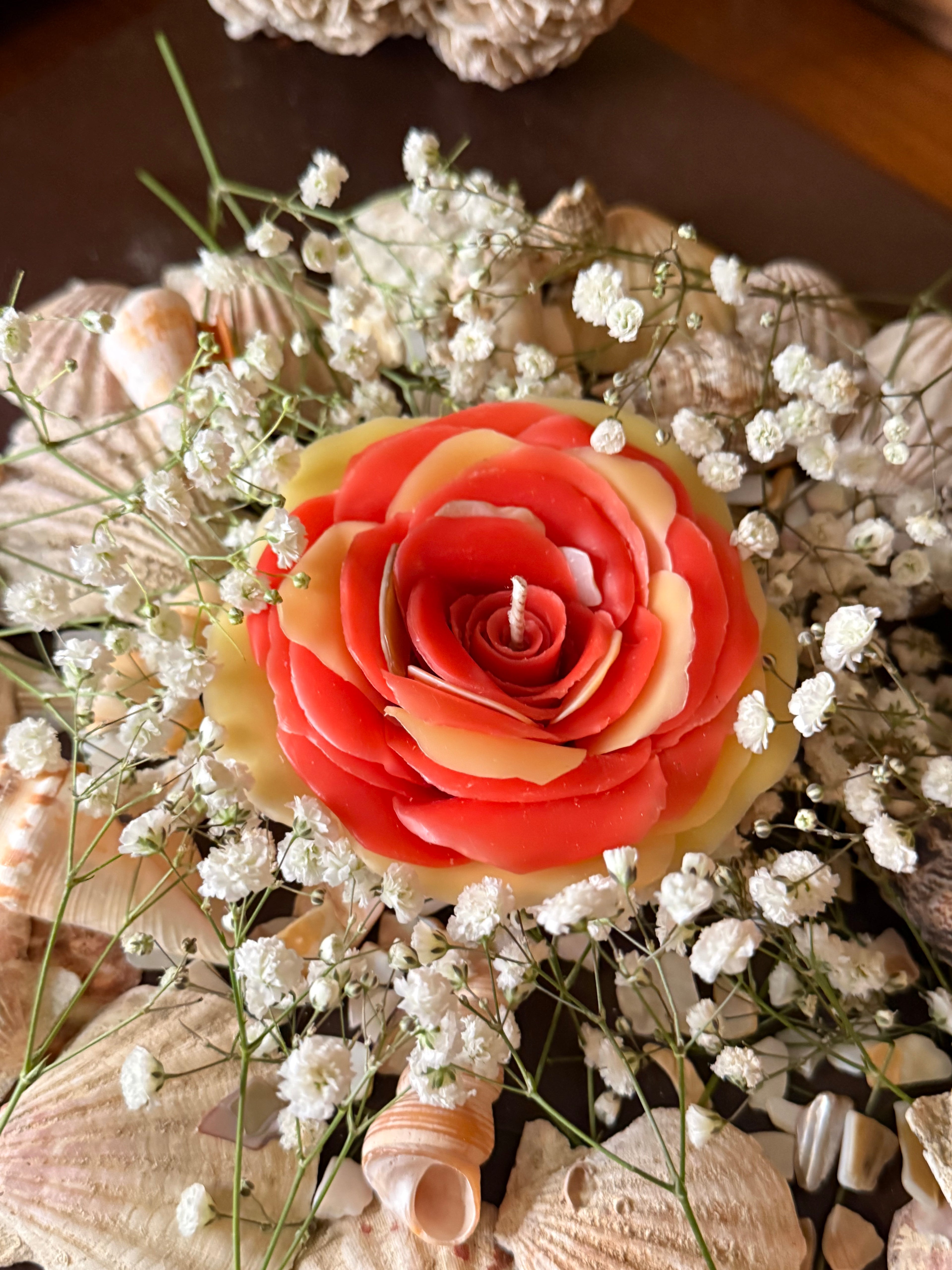 Aphrodite Rose 1 Month Wait