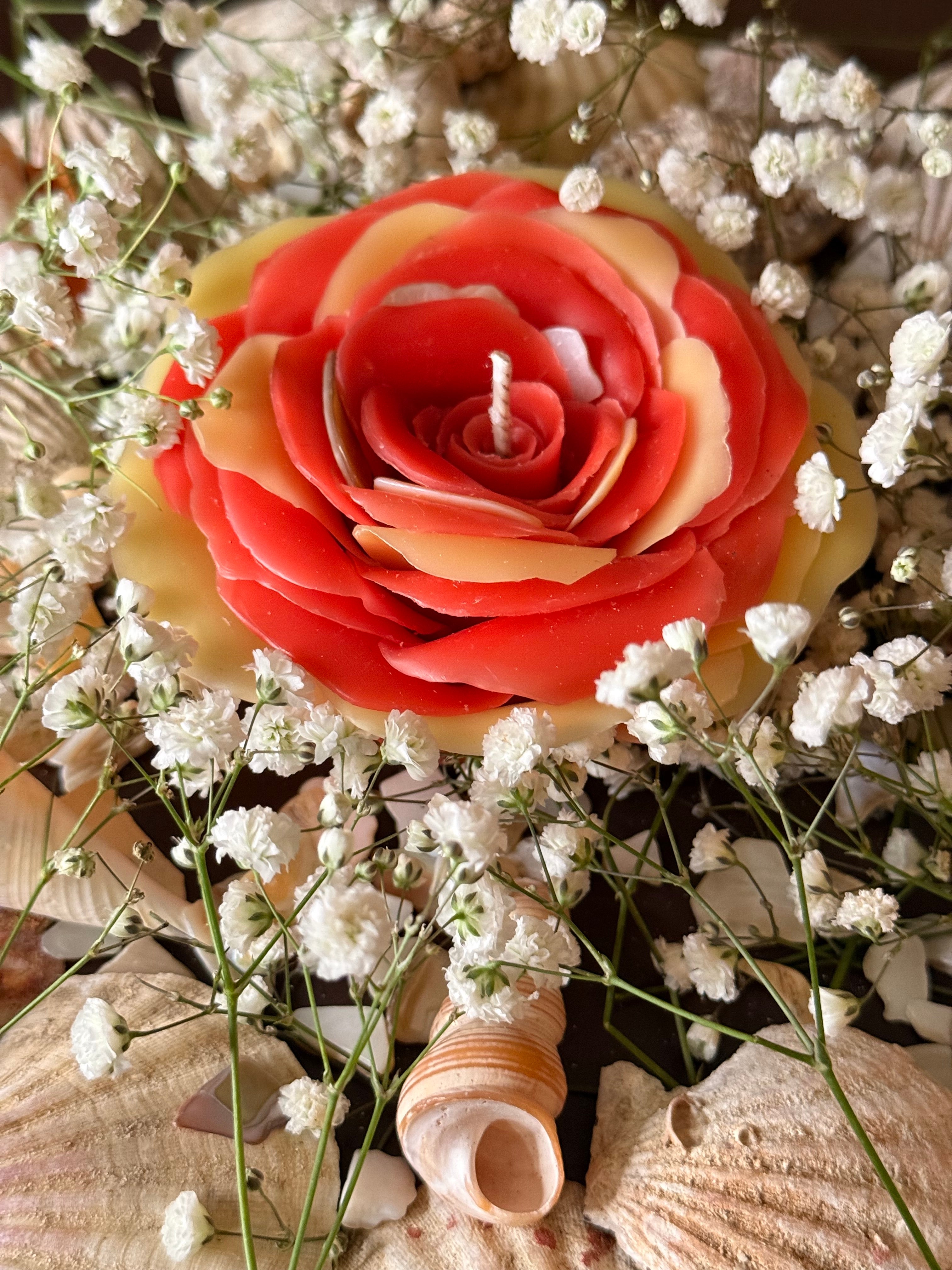 Aphrodite Rose 1 Month Wait