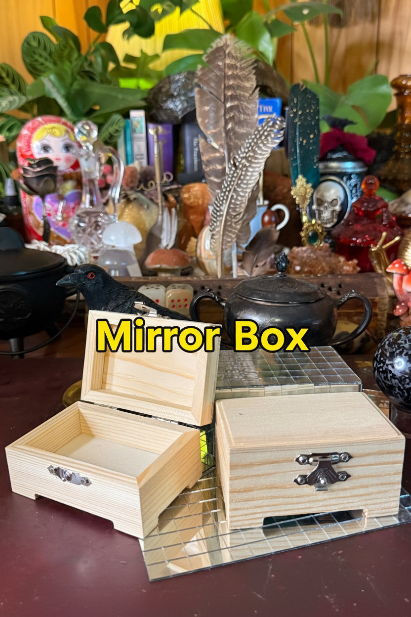 Mirror box for personal Protection