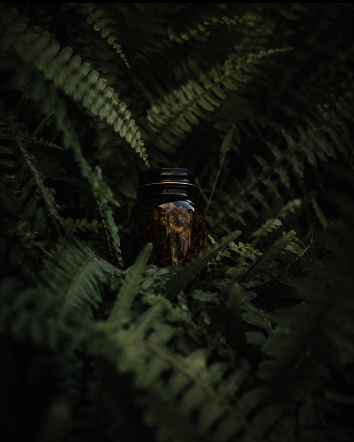 *Fern Cloaking Oil Sept 20