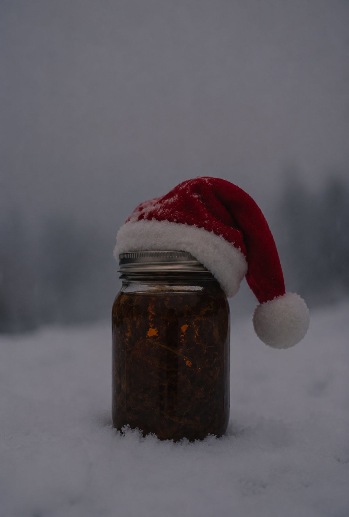 *Buddy The Elf Oil December 7th