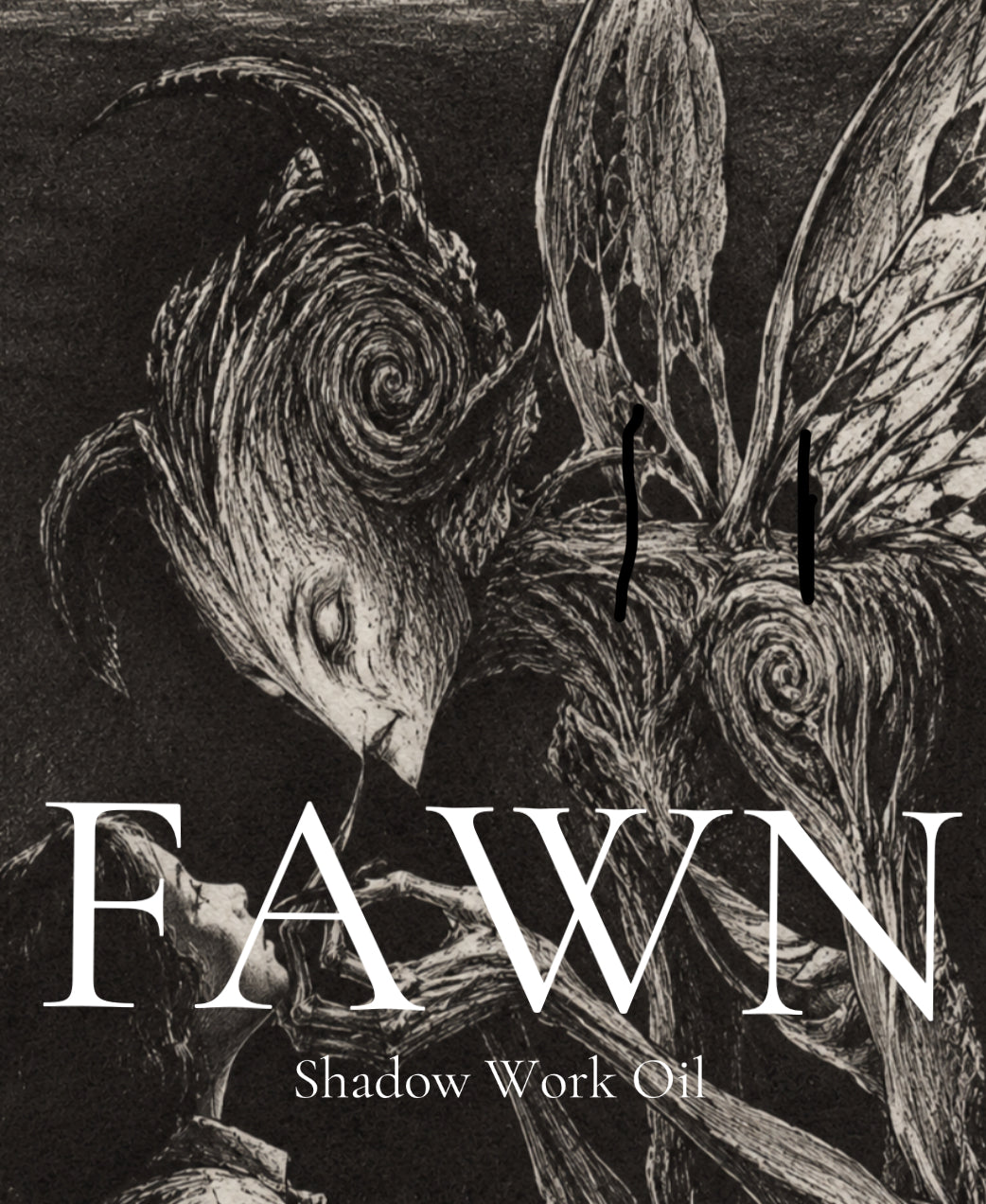 *Fawn Nov 15